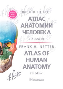 Атлас анатомии человека 7-е издание - фото 6472