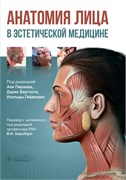 Анатомия лица в эстетической медицине 3405