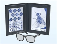 Стереотест 